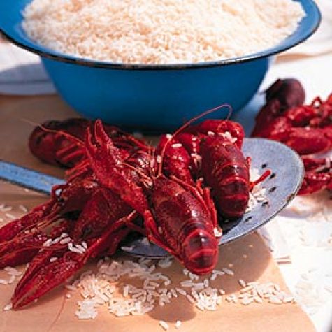 Louisiana Crawfish Boil