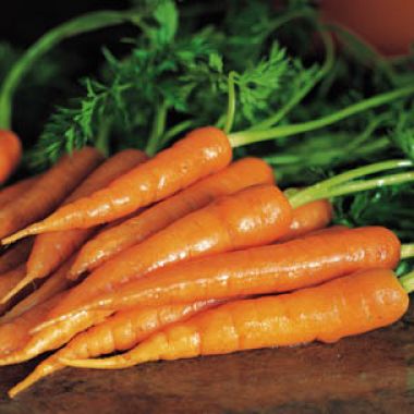 All About Carrots