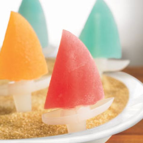 Fruit Juice Pops