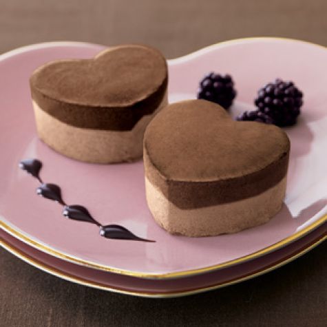 Molded Chocolate Ice Cream Dessert