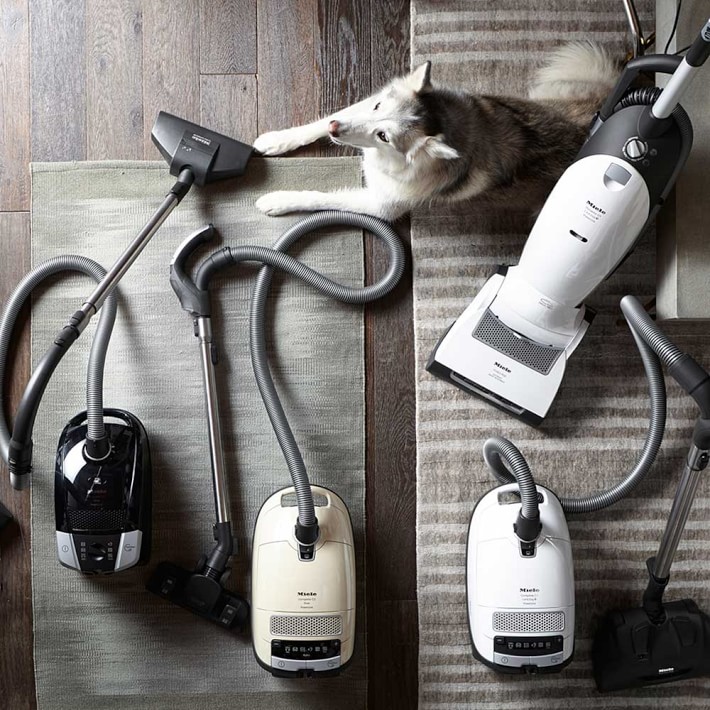 Miele Dynamic U1 Cat & Dog Vacuum Cleaner | Williams Sonoma