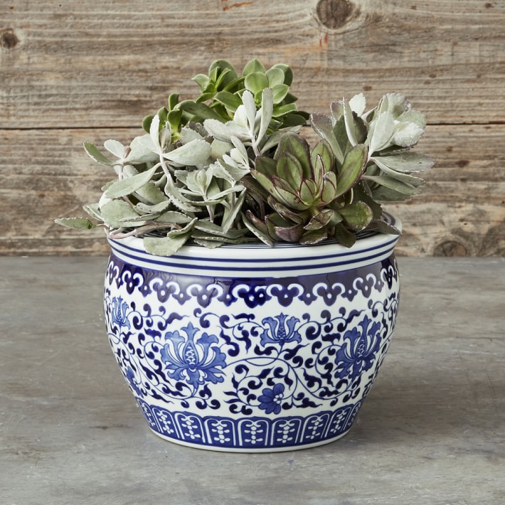 Blue & White Ceramic Small Planter Williams Sonoma