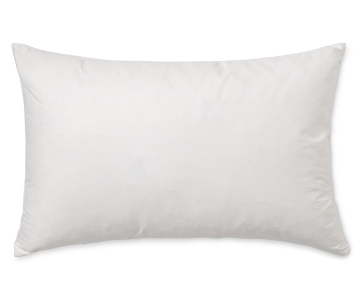 Decorative Pillow Insert | 14\