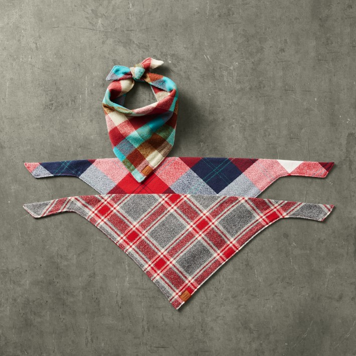 foggy dog bandana