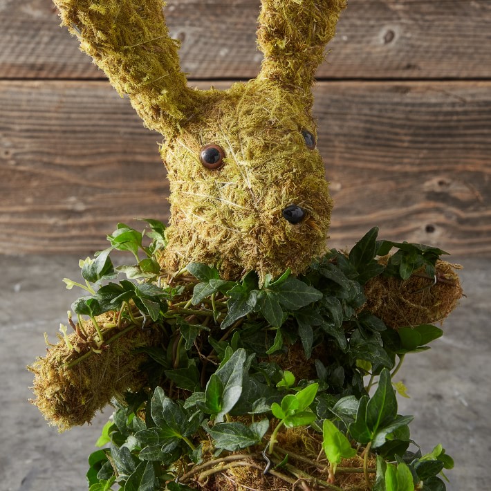 Potted Easter Bunny Ivy & Moss Topiary | Williams Sonoma