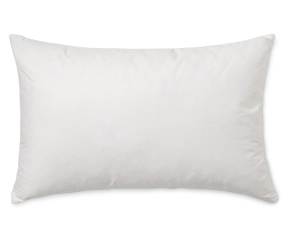 Decorative Pillow Insert | 14\