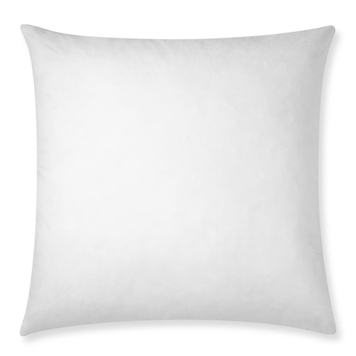 Decorative Pillow Insert 24" X 24" Williams Sonoma