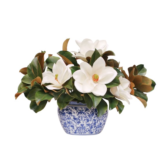 Faux Magnolias In Blue And White Vessel Artificial Flower Arrangement Williams Sonoma