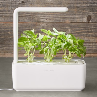 Click And Grow Smart Garden 3 Pod Williams Sonoma