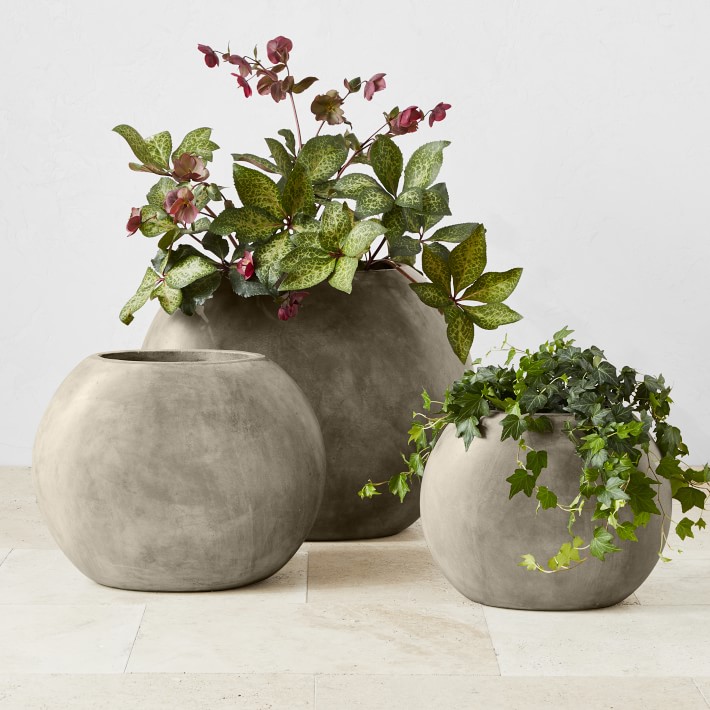 Bella Concrete Planter Williams Sonoma