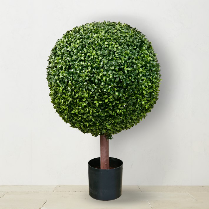 Boxwood Ball Topiary, 33