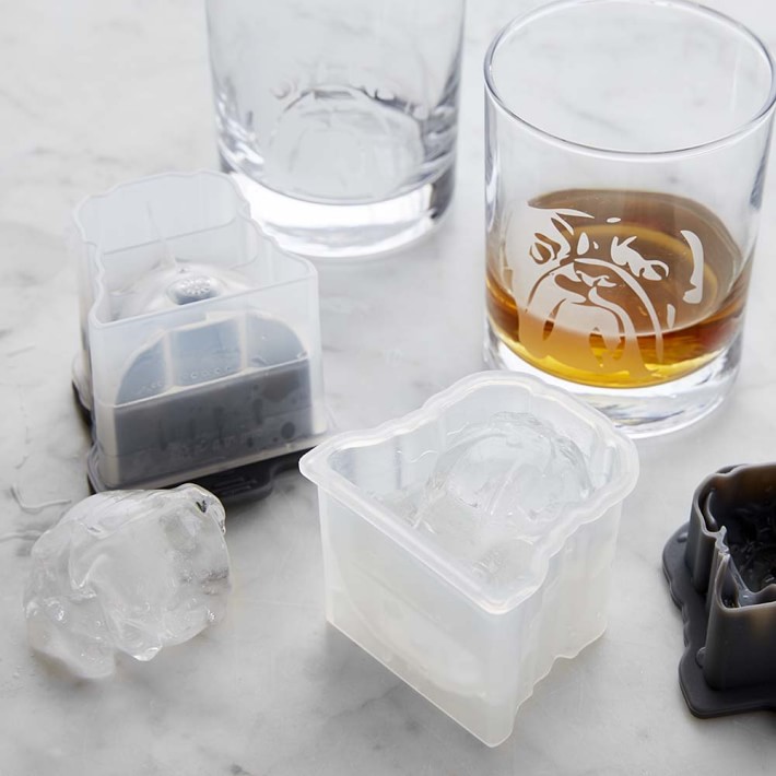 Bulldog Etched Glass & Ice Mold Set | Williams Sonoma