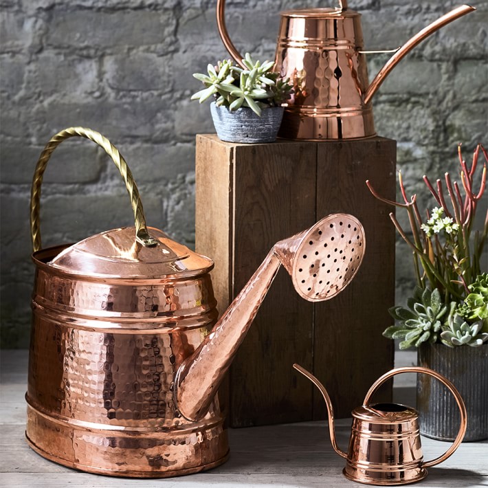Copper ExtraLarge Watering Can Garden Tools Williams Sonoma