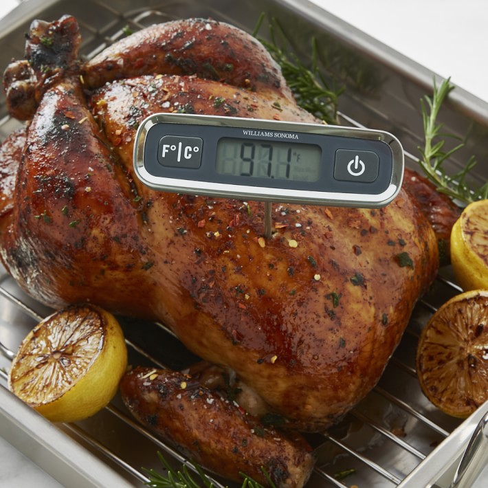 Williams Sonoma Digital Instant Read Pen Cooking Thermometer Williams