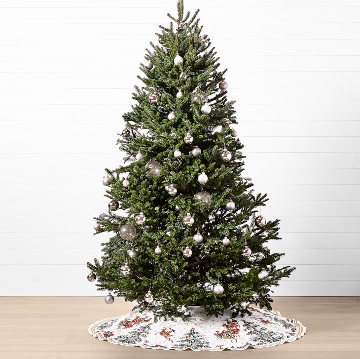 Fresh Blue Ridge Mountain Christmas Tree Williams Sonoma