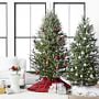 Fresh Blue Ridge Mountain Christmas Tree | Williams Sonoma