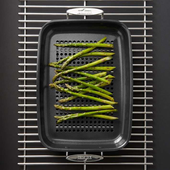 AllClad Nonstick Outdoor Roasting Pan Williams Sonoma