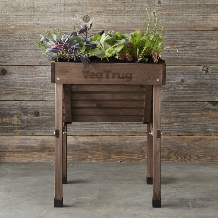 VegTrug™ Raised Garden Bed - Extra Small | Williams Sonoma