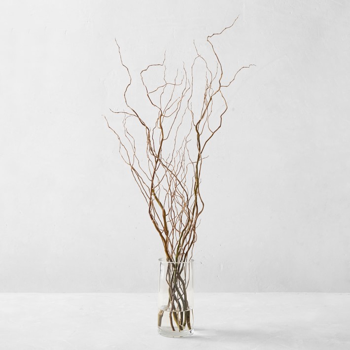 Curly Willow Branches Williams Sonoma