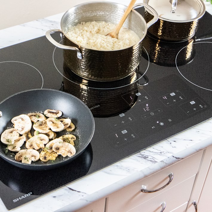 williams sonoma induction cooktop