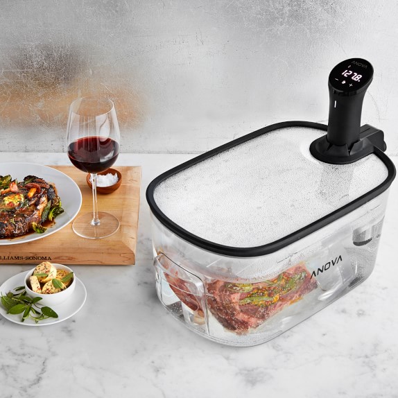 anova sous vide with container