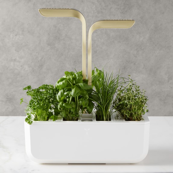 Véritable® CONNECT Garden System, Moonlight Gold Williams Sonoma