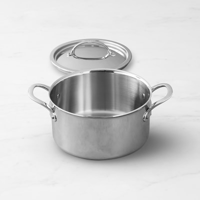 Williams Sonoma Signature Thermo-Clad™ Stainless-Steel Stock Pot ...