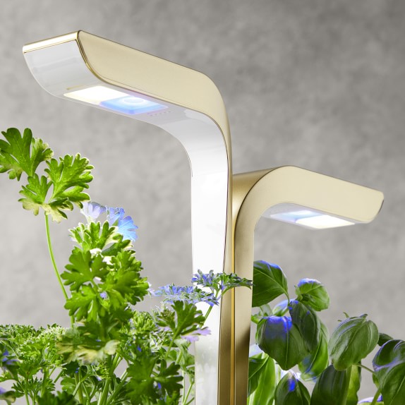 Véritable® CONNECT Garden System, Moonlight Gold Williams Sonoma