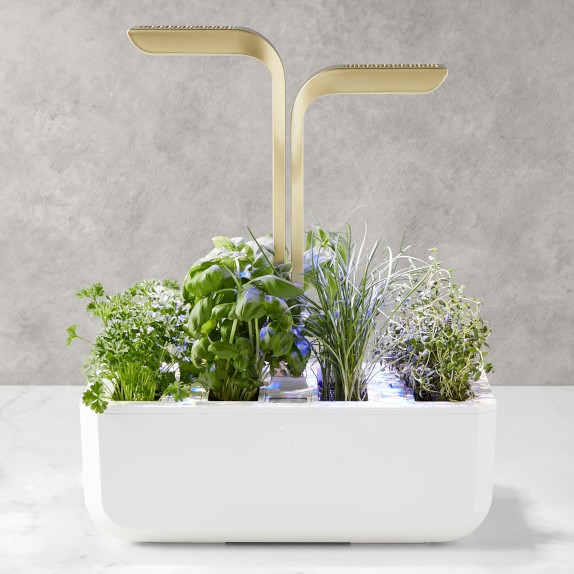 Véritable® CONNECT Garden System, Moonlight Gold Williams Sonoma
