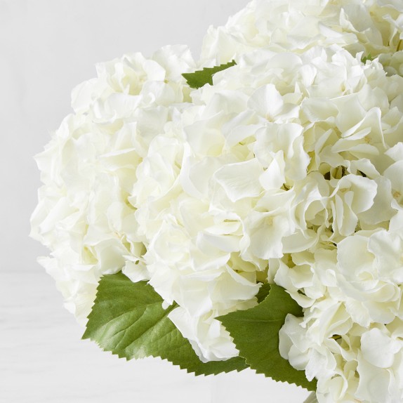 Faux White Hydrangea in Glass Vase Williams Sonoma