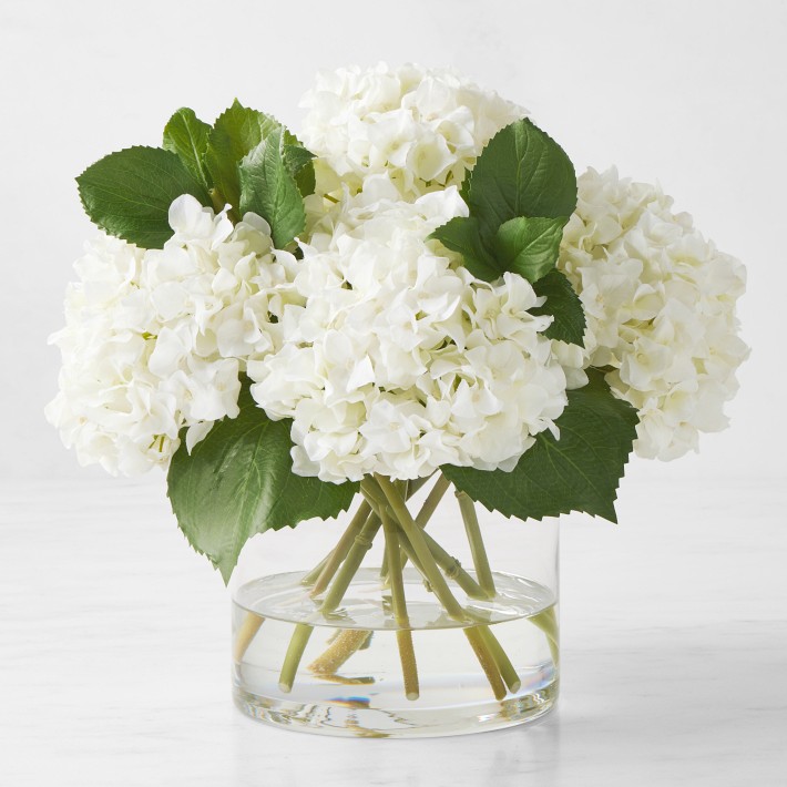 Faux White Hydrangea Arrangement in Glass Vase Williams Sonoma