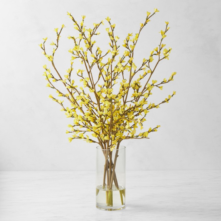 Faux Yellow Forsythia Arrangement in Vase | Williams Sonoma