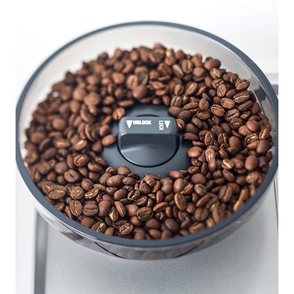 breville barista express oily beans