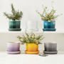 Le Creuset Herb Planter with Tray | Williams Sonoma