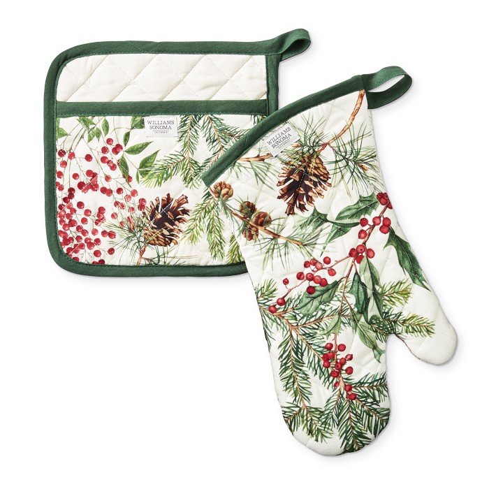 Williams Sonoma Oven Mitt and Pot Holder Set of 2 Holiday Stripe