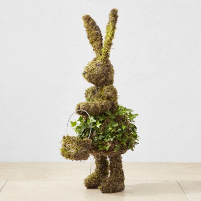 Easter Bunny with Basket Ivy & Moss Live Topiary | Williams Sonoma