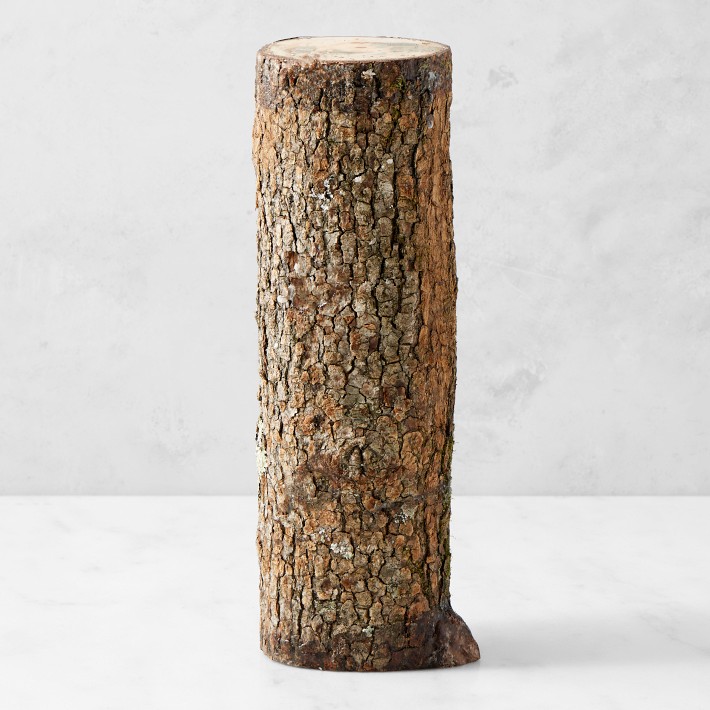 Shiitake Mushroom Log Kit Mushroom Growing Kit Williams Sonoma