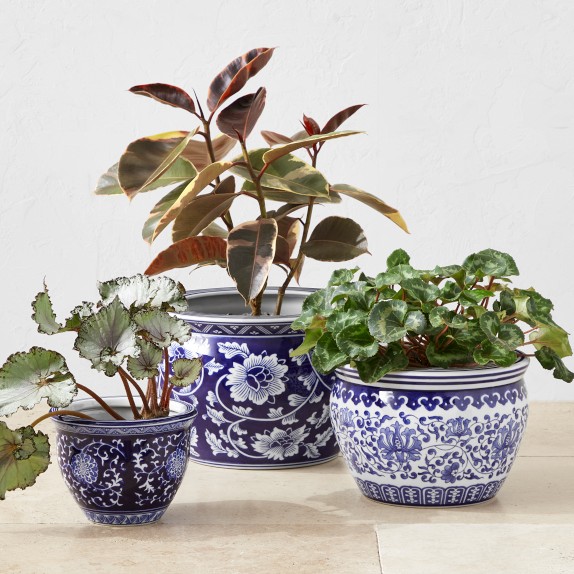 Blue & White Ceramic House Planter Set Williams Sonoma