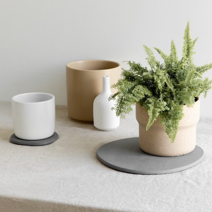 Dorai Home Plant Saucer Williams Sonoma