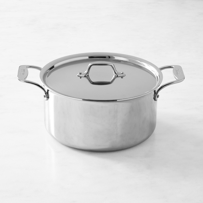 Williams Sonoma All-Clad Gourmet Accessories Stainless-Steel 16-Qt. Stock  Pot & Sous Vide