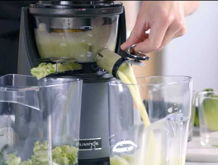 Kuvings Whole Slow Juicer EVO820 Slow Juicer Williams Sonoma