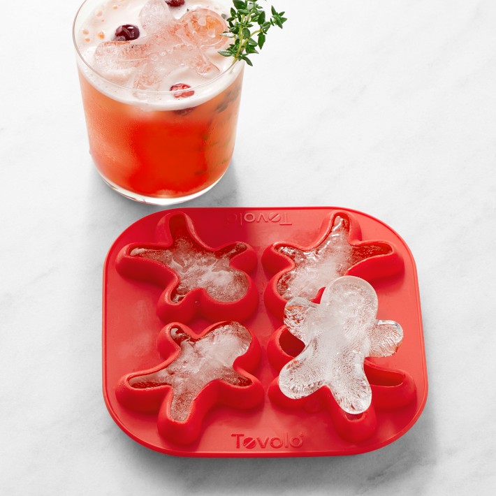 9 Best Ways to Use an Ice Cube Tray - MY 100 YEAR OLD HOME