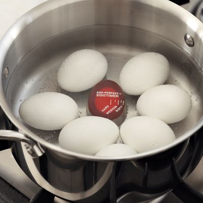 OXO Good Grips Digital Egg Timer for Hard Boiling Eggs with Timer NEW