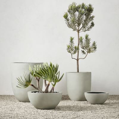 Bradford Planter | Williams Sonoma