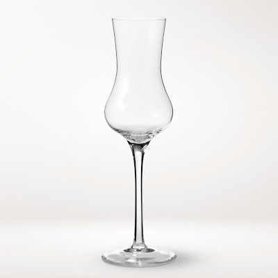 Williams Sonoma Estate Coupe Glasses, Set of 2