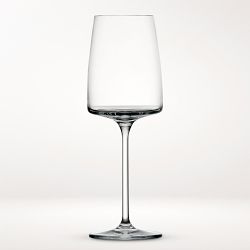 Schott Zwiesel Sensa Level Square Sparkling Wine Glass + Reviews