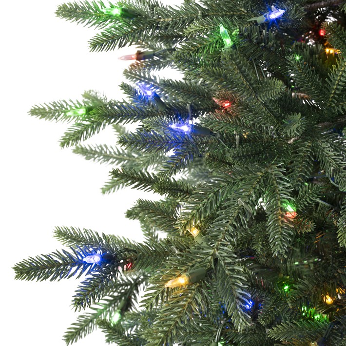 Balsam Hill Real Feel™ Artificial Oregonian Slim Prelit Christmas Tree