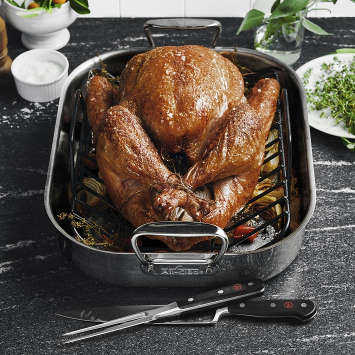 https://assets.wsimgs.com/wsimgs/ab/images/dp/wcm/202338/0064/all-clad-stainless-steel-roasting-pan-with-rack-1-o.jpg