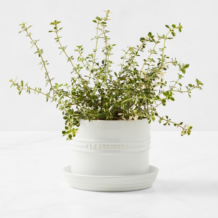 https://assets.wsimgs.com/wsimgs/ab/images/dp/wcm/202338/0084/le-creuset-herb-planter-with-tray-o.jpg