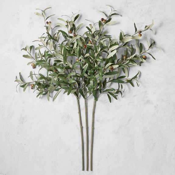 Faux Olive Branch Williams Sonoma